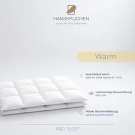HANSKRUCHEN GmbH HANSKRUCHEN Bettdecke Daunen 200x200 cm Warm waschbar Allergiker Winterbettdecke atmungsaktiv Daunendecke weiss - Weiß