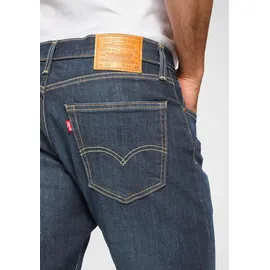 Levi's Herren Taper Jeans 502 in Biologia W30 / L34