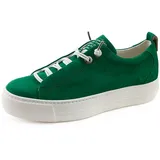 green 40,5