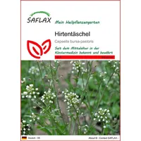SAFLAX - Hirtentäschel - 1000 Samen