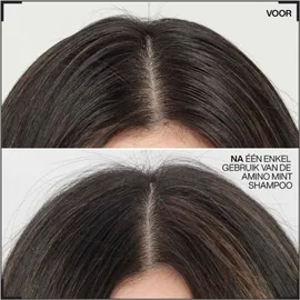 Redken Amino Mint 1000 ml