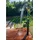 gre accessories Gre Solardusche Metall, 19.6x117x22 cm, Freizeit, Pools und Wasserspaß, Gartenduschen