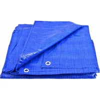 Bricoline Blaue Plane 70 g 10 x 15 m