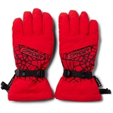 Spyder OVERWEB GTX Gloves, Herren, Volcano, M