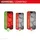 Displex Smart Glass für Apple iPhone 15 Plus/15 Pro Max/16 Plus