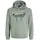 JACK & JONES Hoodie Grün 6XL