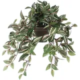 Mica decorations Mica Kunstpflanze Tradescantia hängend grün im Topf 45 x 25 cm