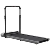 KINGSMITH R1 Pro