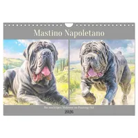 Calvendo Mastino Napoletano. Die wuchtigen Molosser im Painting-Stil (Wandkalender