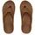 REEF Offshore Bronze 46