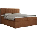 MKS Boxspringbett 160 x 200 cm H4 Orange