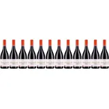 12x Dornfelder halbtrocken, 2023 - Weingut Bus, Pfalz! Wein