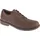 CAT Staten Herren Braun 44