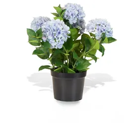 Hortensie - Hydrangea Kunstpflanze, 5 Blüten blau