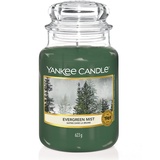 Yankee Candle Evergreen Mist große Kerze 623 g