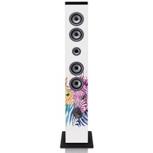 ICES IBT-6 zebra