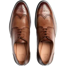 LLOYD Elegante Schnürschuhe in Braun 11,5