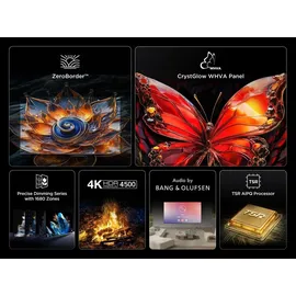 TCL 65Q8C 65 Zoll QD-MiniLED 4K Google TV