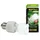 Exo Terra Repti Glo Terrarium Lampe