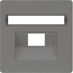 SIEMENS Netzwerk-Abdeckplatte 5TG1228 carbonmetallic