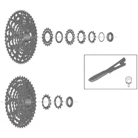 Shimano Ritzel 11-13 Zähne Grau