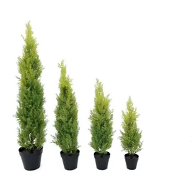 Europalms Zypresse, Leyland, 120cm