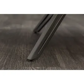 Riess-Ambiente Invicta EUPHORIA Samt