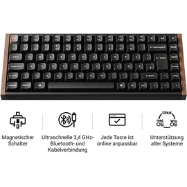 Keychron K2 HE Magnetschalter DE