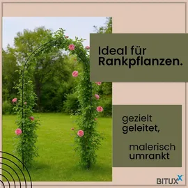BITUXX Rosenbogen 240 x 0 x 0 cm Schwarz