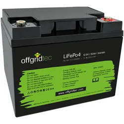 50Ah LiFePo4 Akku 12/50 12,8V 50Ah BMS integriert 640Wh
