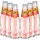 SCHWEPPES Russian Wild Berry - 6x200ml = 1200ml - Inkl. Pfand Mehrweg