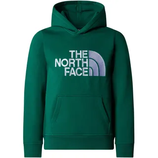 The North Face Sweatshirt/Hoodie