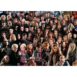 Ravensburger Puzzle 1000 Teile Harry Potter 12000457 - Über 70 Charaktere aus der zauberhaften Welt von Hogwarts