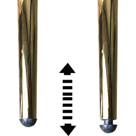 FineBuy Küchenstuhl 2er Set Samt Goldene Beine Schalenstuhl Stuhl