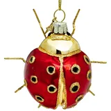 SIKORA Marienkäfer besondere Weihnachtskugel Glas Christbaumschmuck Deko Figur Weihnachten Anhänger Ornament - Trend Line - BS494