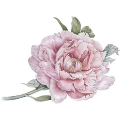Wandtattoo QUEENCE "Klara", rosa, B:70cm, Folie, Wandtattoos, Wandbild, Sticker, rosa, Blume, Blüte, selbstklebend, Pastellfarben