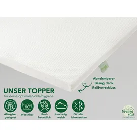 Dreamstar Easy Dream Kaltschaum 120 x 200 cm H3