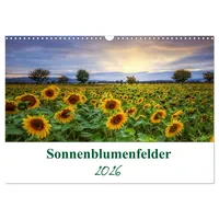 Calvendo Sonnenblumenfelder (Wandkalender 2026 DIN A3 quer), CALVENDO Monatskalender: