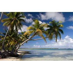 Fototapete PAPERMOON "Strand mit Palmen", bunt, B:5,00m L:2,80m, Vlies, Tapeten
