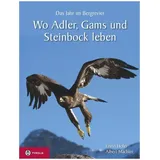 TYROLIA Gesellschaft m. b. H. Wo Adler, Gams und Steinbock leben: Das Jahr im Bergrevier. Mit spannenden Jagdgeschichten und brilllanten Bilder von Albert Mächler