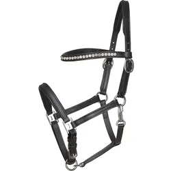 Horse Guard Showhalfter Fohlen (Fohlen) - Schwarz - Fohlen