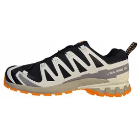 Salomon XA Pro 3D V9 GTX Herren Black/Vanilla Ice Turmeric 44