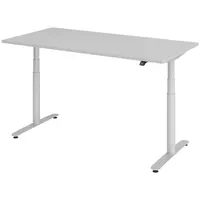 Bümö Schreibtisch Grau, Silber, Nachbildung, Rechteckig, 80x72x160 cm, FSC