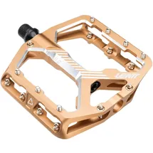 Leatt AllMtn 6.0 Gold