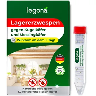 Lagererzwespen gegen Kugelkäfer & Messingkäfer