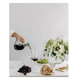 Edzard Dekantierente Dekanter Rotwein Karaffe in Entenform Daisy, Höhe 26 cm, Inhalt 0,9 Liter, edel versilberte Elemente, mit Ausgießer