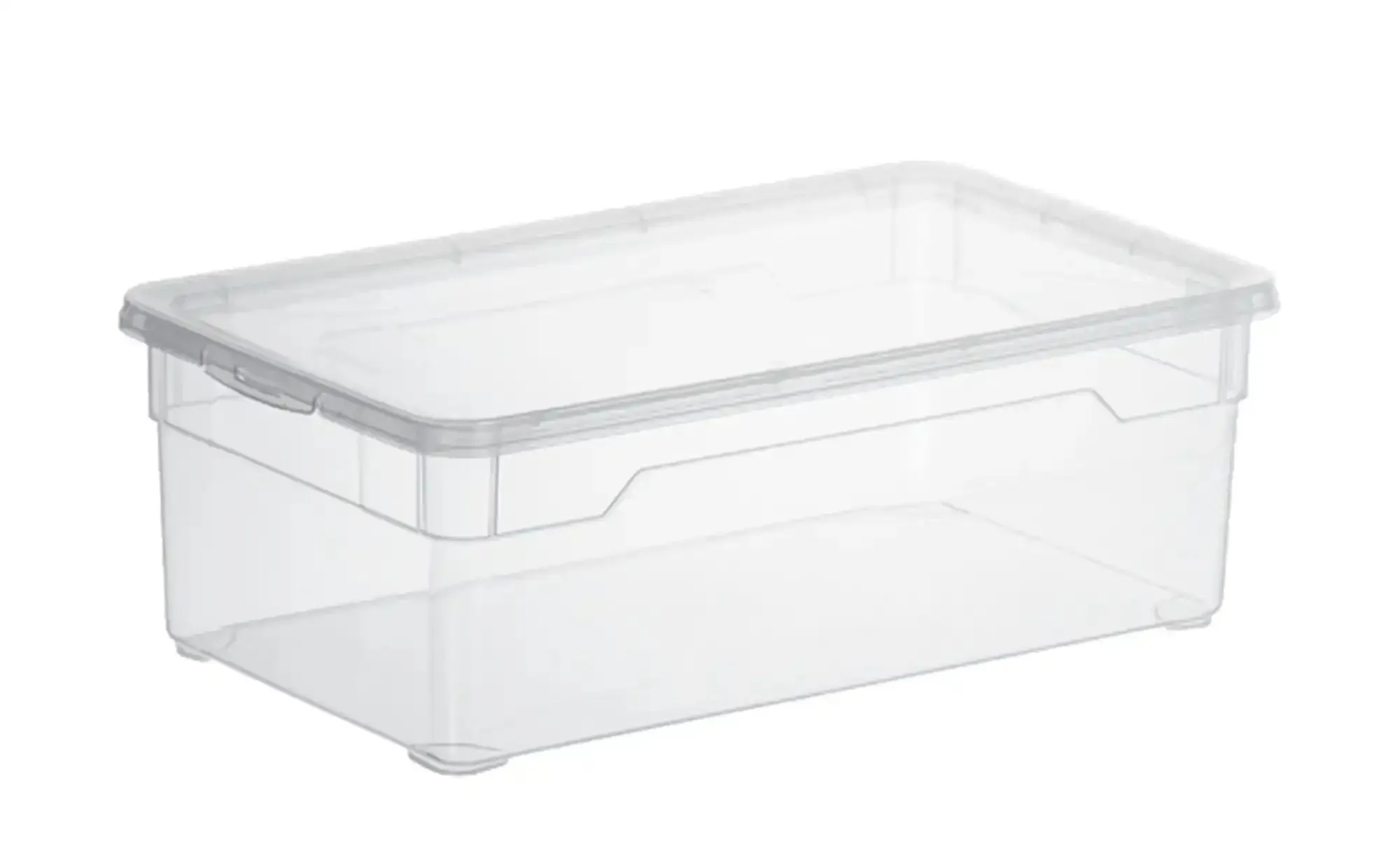 rotho aufbewahrungsbox clear lady shoe
