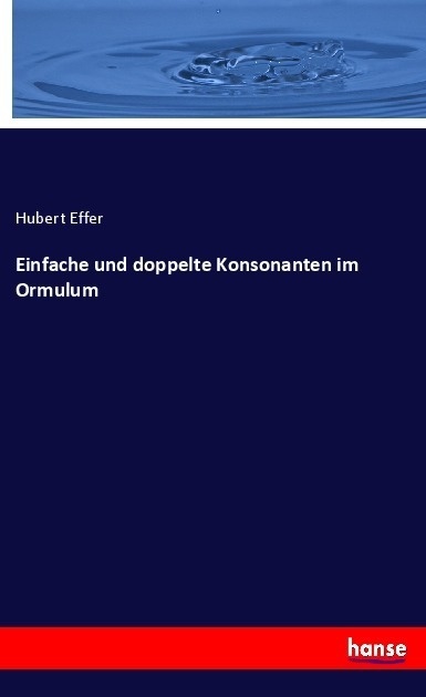 Einfache Und Doppelte Konsonanten Im Ormulum - Hubert Effer  Kartoniert (TB)