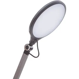 LINDBY Nyxaris Grau