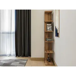 vente-unique Bücherregal 50 x 22 x 150 cm Schwarz/Natur